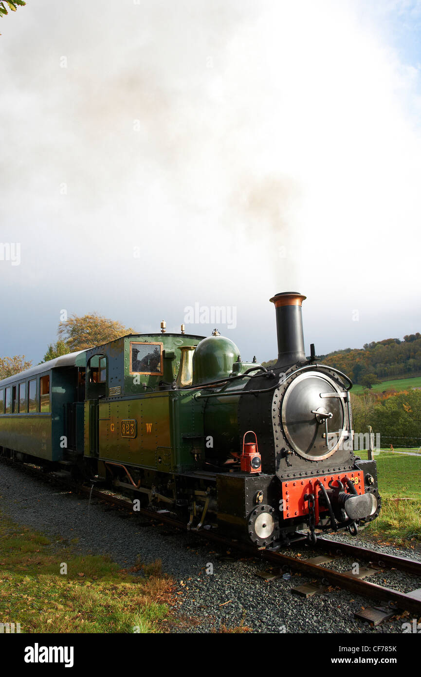 Bolina vapore treno su Welshpool & Llanfair ferrovia a scartamento ridotto, Welshpool, il Galles Centrale Foto Stock