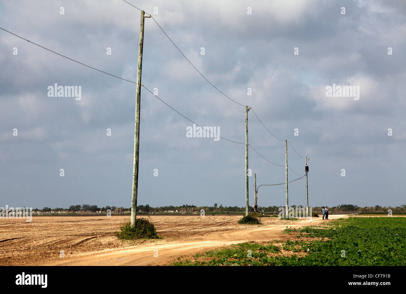 Terreni agricoli, Homestead, Florida Foto Stock