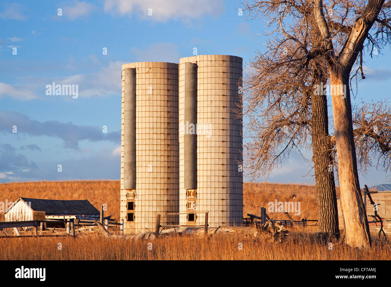 Edifici della fattoria abbandonata con twin silos vicino a Fort Collins, Colorado Foto Stock