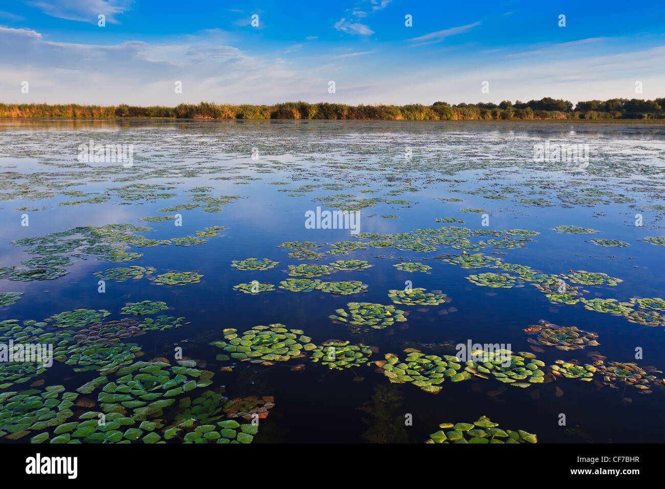 Il Delta del Danubio, Romania Foto Stock