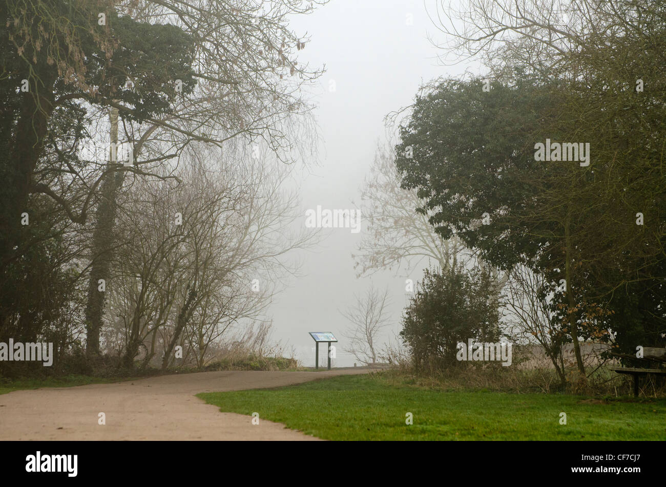 Inverno di prima mattina nebbia atmosferica su Rickmansworth Aquadrome. Foto Stock