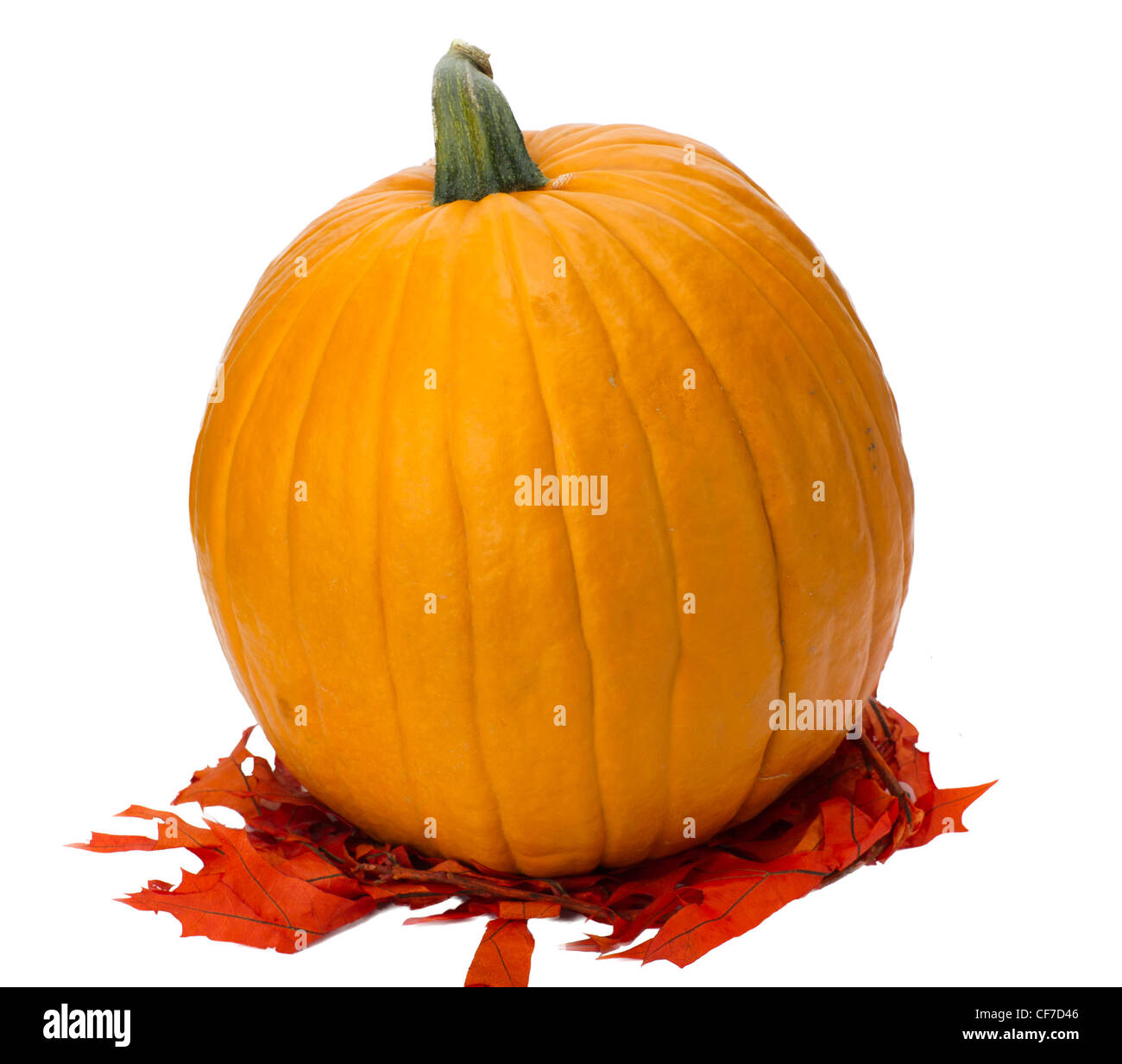 Colorato di zucca e foglie di autunno isolato su bianco Foto Stock