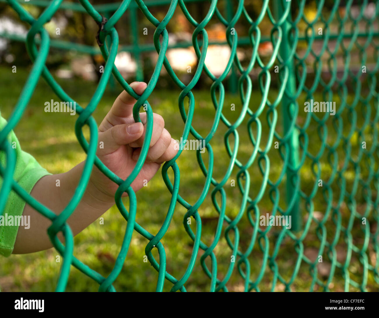 Bambino tenendo il dito su di una catena collegamento recinto Foto Stock