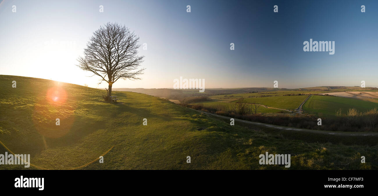 Panorama di Cissbury Ring Iron Age Fort collina vicino a Worthing, West Sussex, Regno Unito Foto Stock