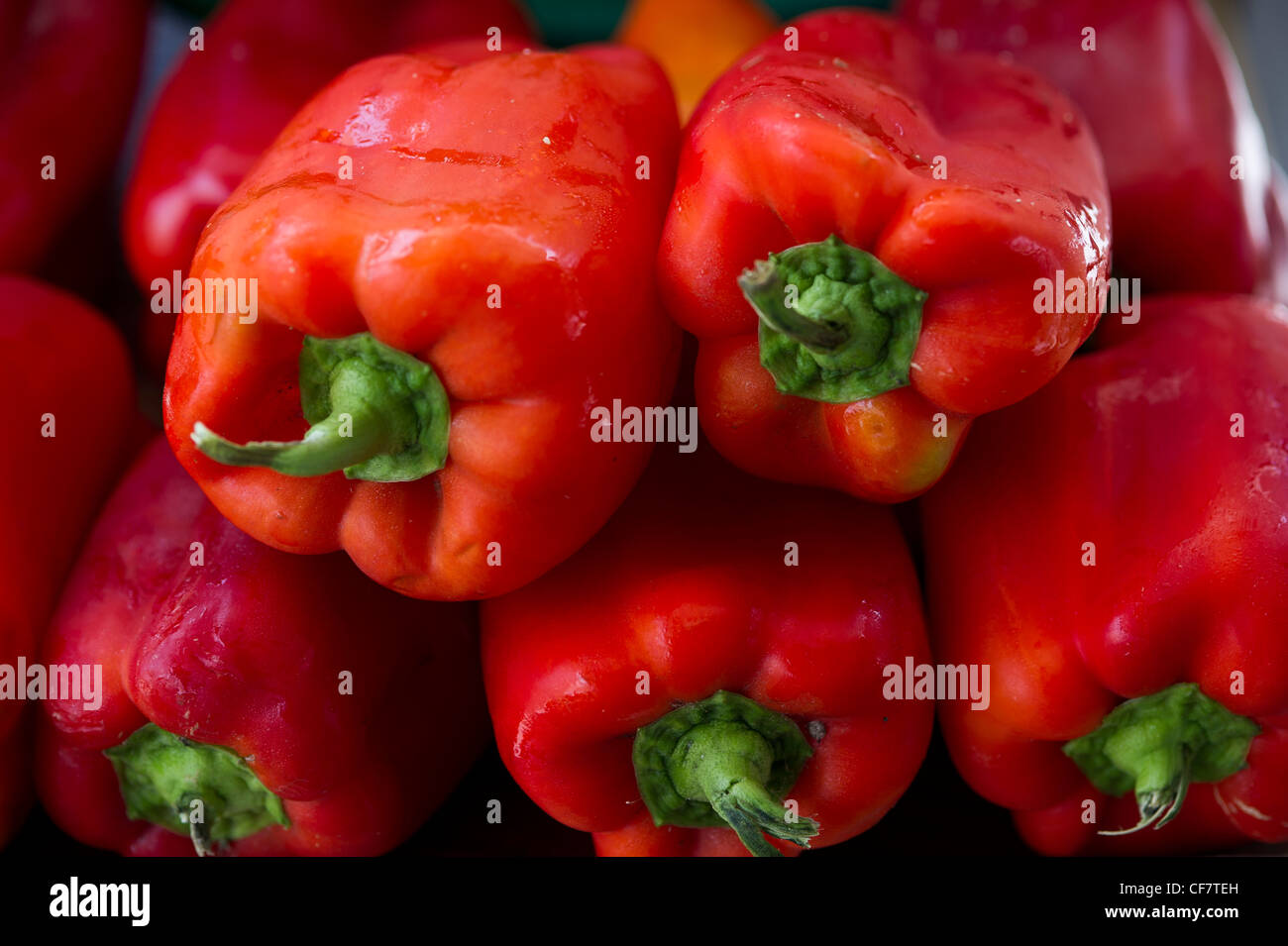 Verde e peperoni rossi Foto Stock