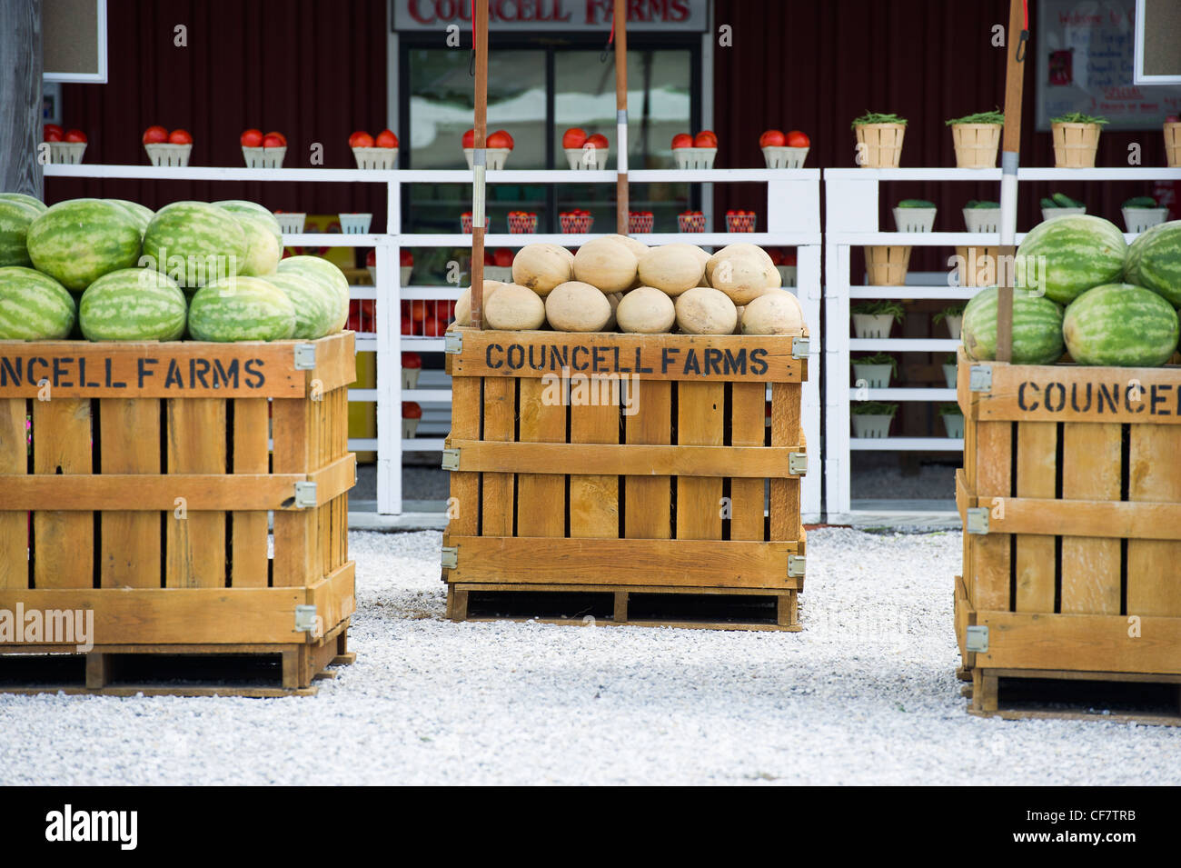 Cestini di frutta e verdure fresche in corrispondenza dell'agricoltore stand in Maryland Foto Stock