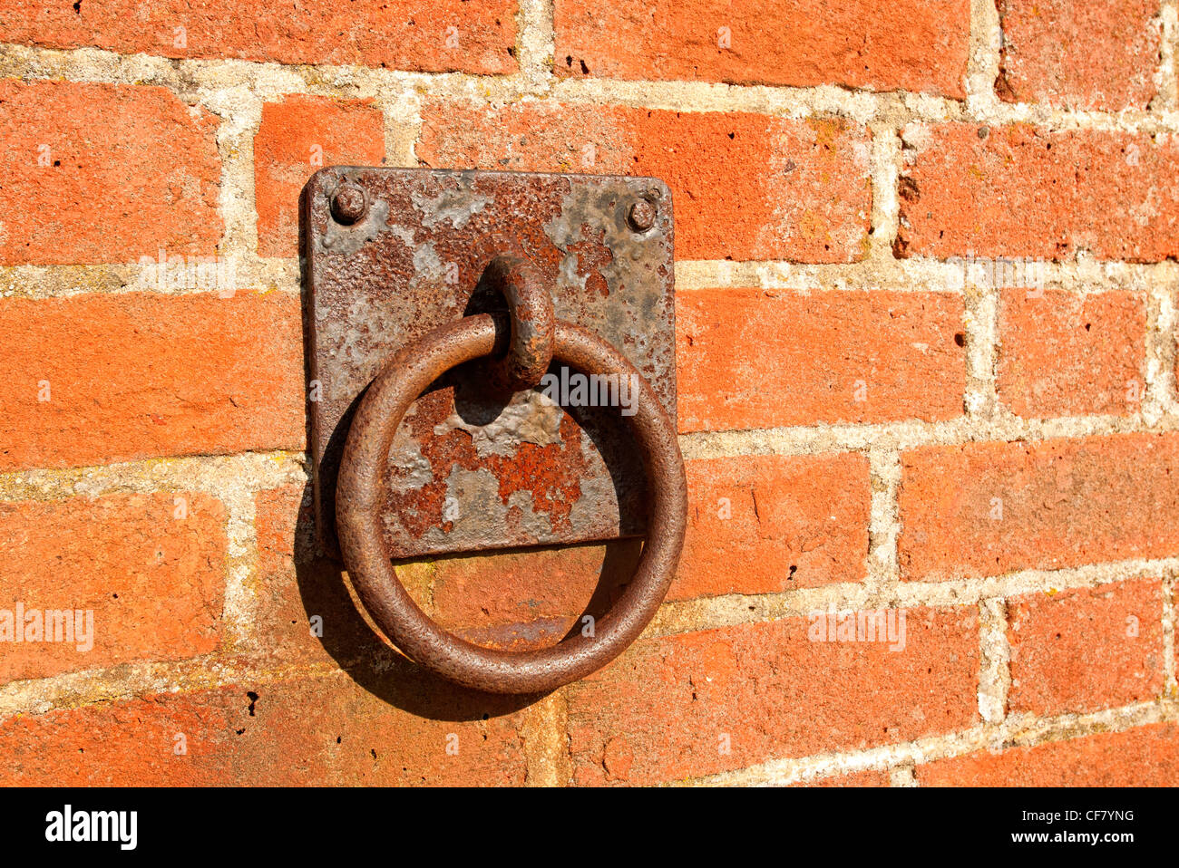 Rusty anello metallico imbullonato su un muro di mattoni Foto Stock