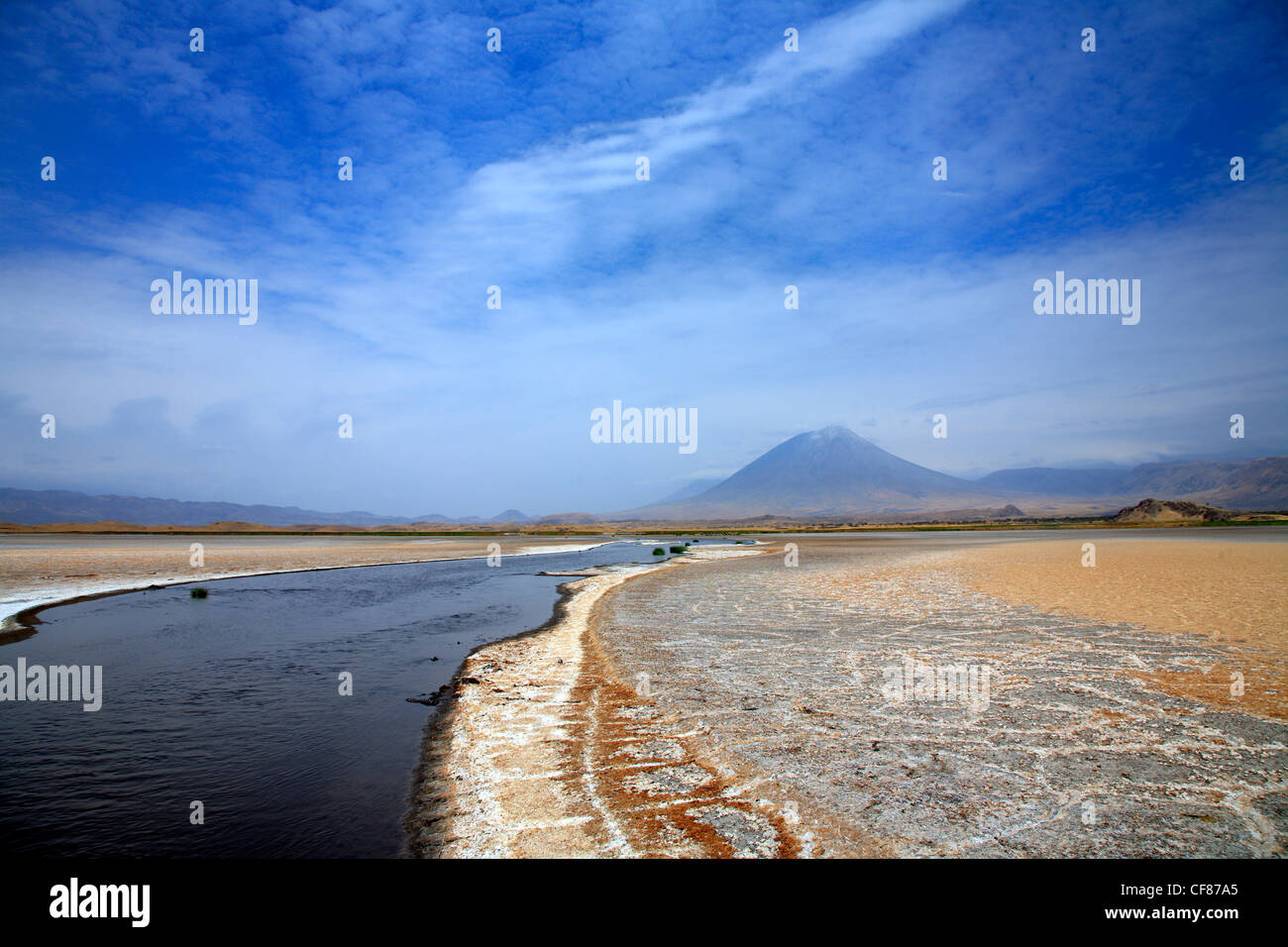 Africa, Africana, Africa orientale, Africa subsahariana, Tanzania Tanzania, natura, safari, viaggi destinazioni, wildlife world loc Foto Stock