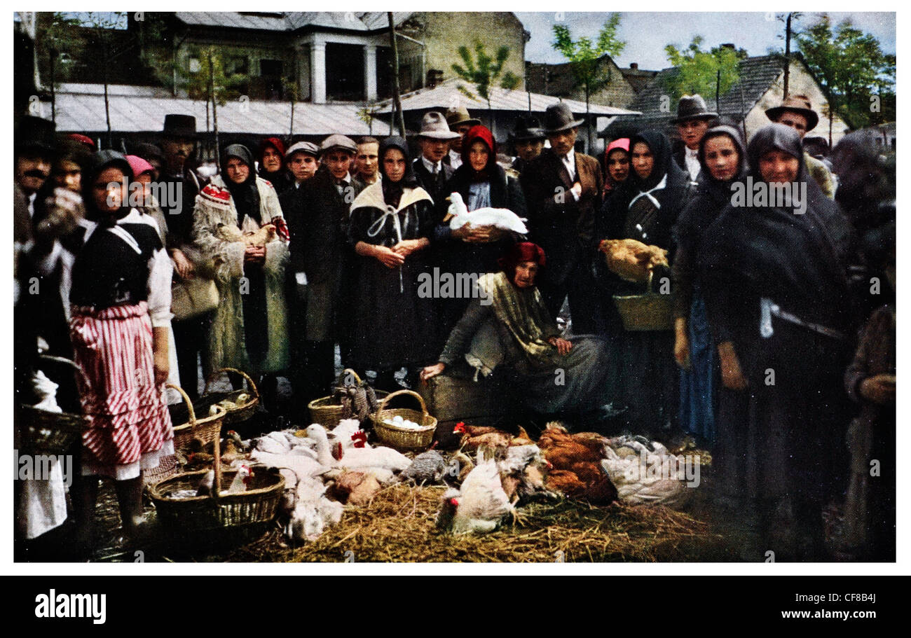 Mercato di pollame a Mukacevo Ruthenia centrale della Cecoslovacchia. 1927 Foto Stock