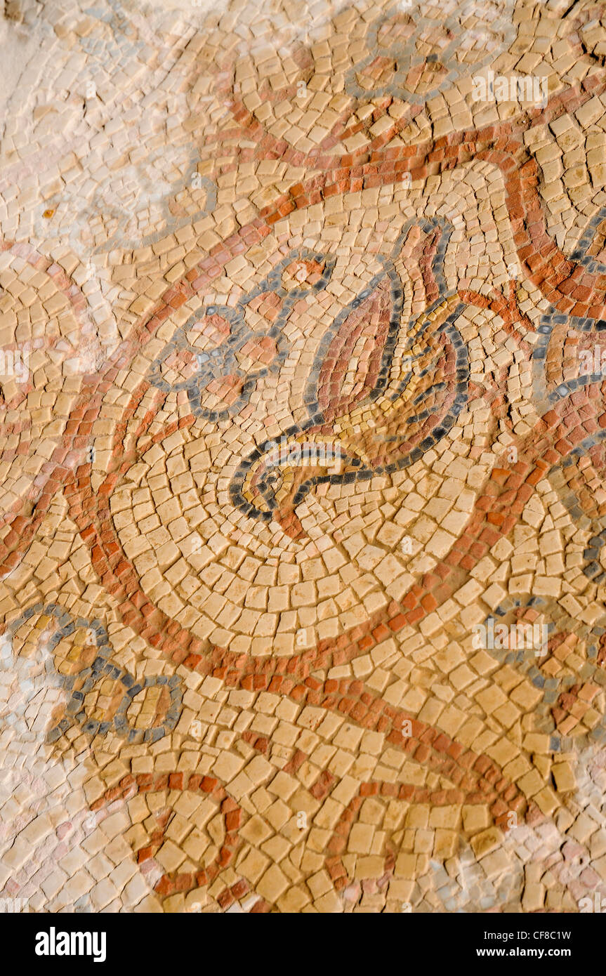 Dettagli del pavimento a mosaico del monastero di Martyrius, ora si trova nel centro dell'insediamento israeliano Ma'ale Adumim, Foto Stock