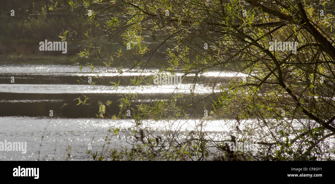 Ogden serbatoio di acqua nei pressi di Halifax West Yorkshire in autunno. Foto Stock