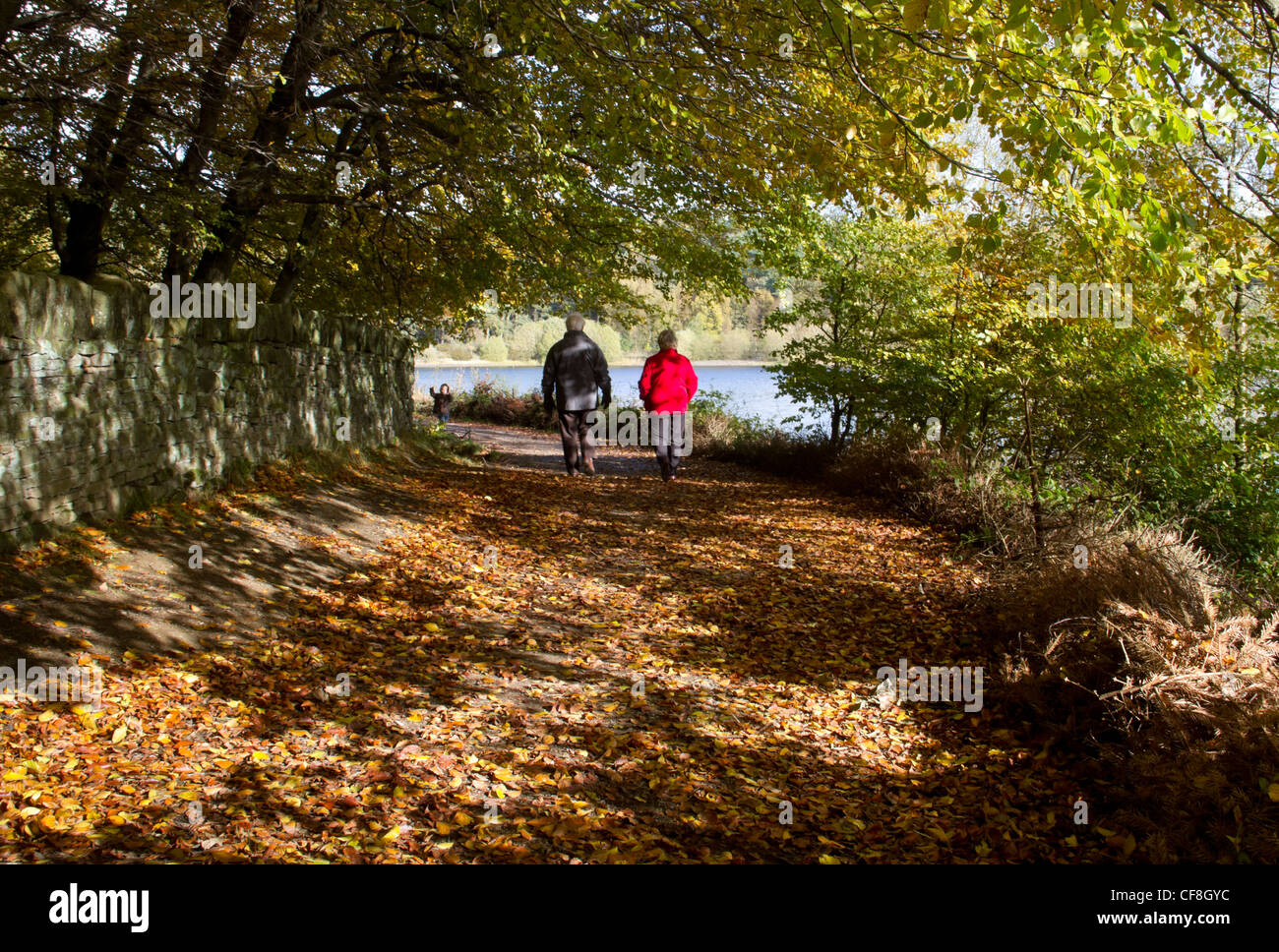 Giovane a piedi di Ogden serbatoio di acqua vicino a Halifax, West Yorkshire, in autunno. Foto Stock