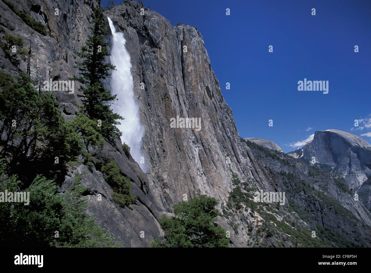 Il parco nazionale di Yosemite Falls, Half Dome, Yosemite, N.P., California, Stati Uniti d'America, Stati Uniti, America, Cascata, Cliff, Half Dome, Sierra Nevada, Foto Stock