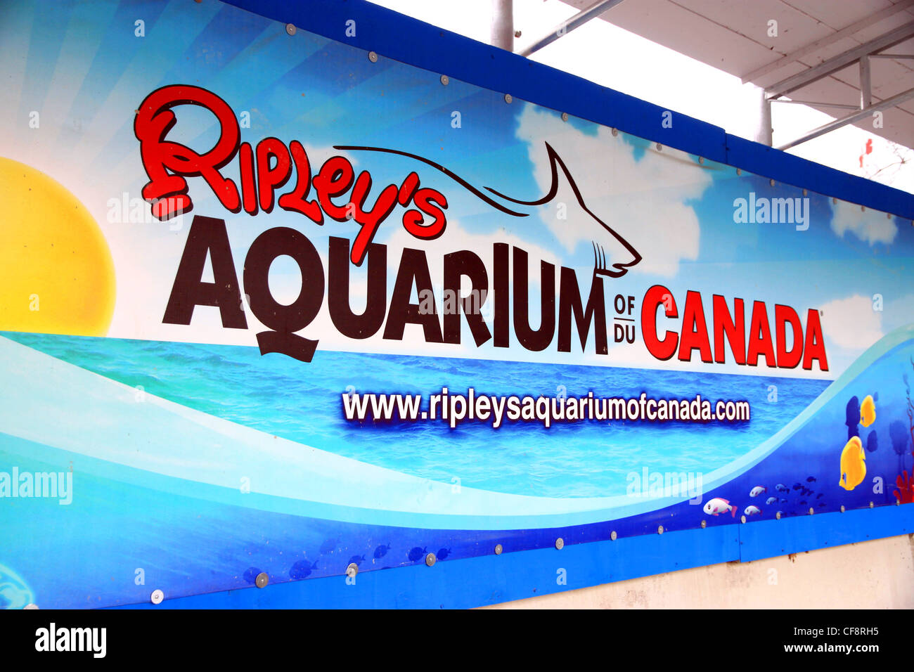 Ripley's acquario del Canada Foto Stock