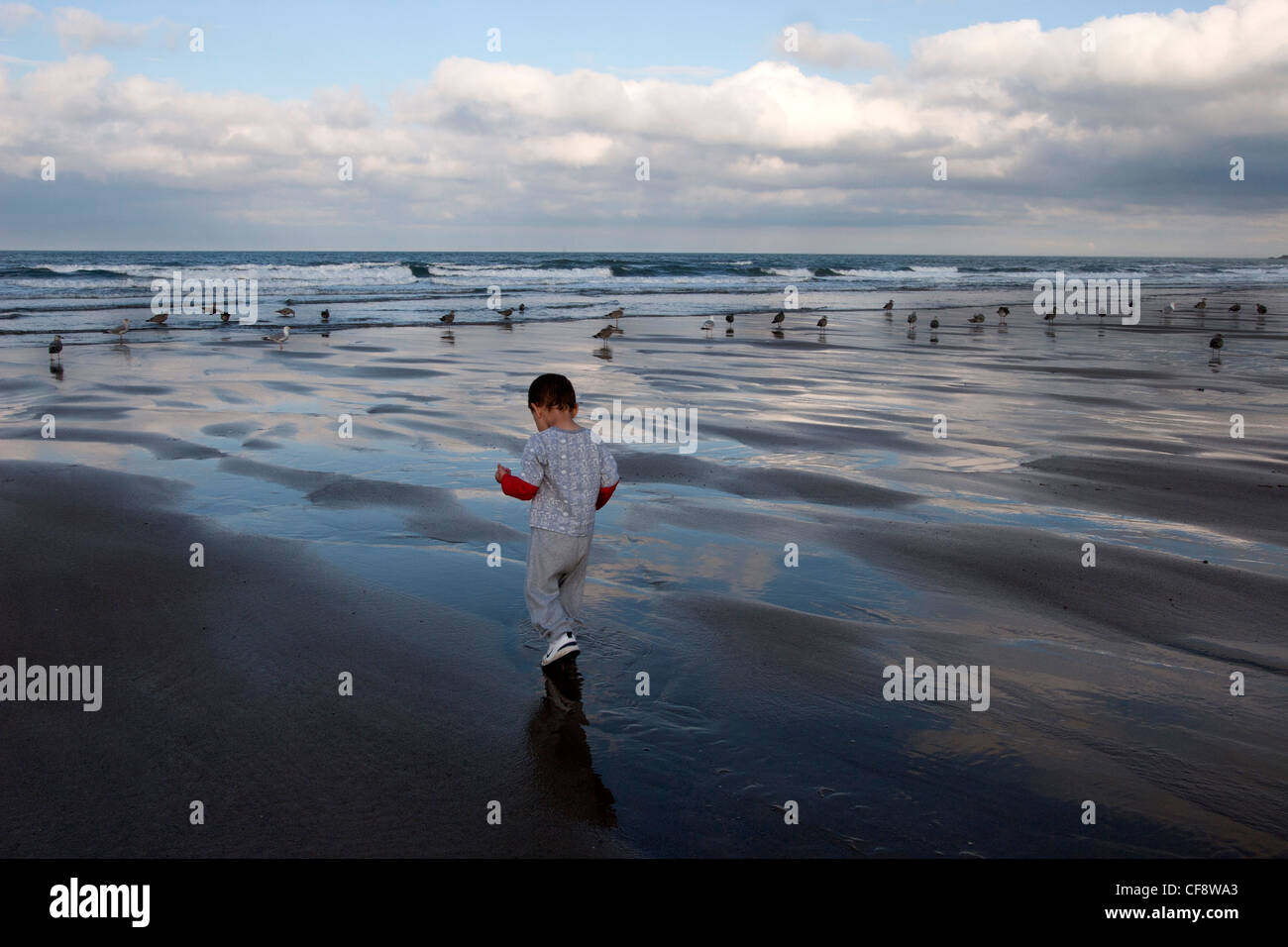 Un bambino piccolo a camminare su spiaggia sabbiosa a South Shields. Foto Stock