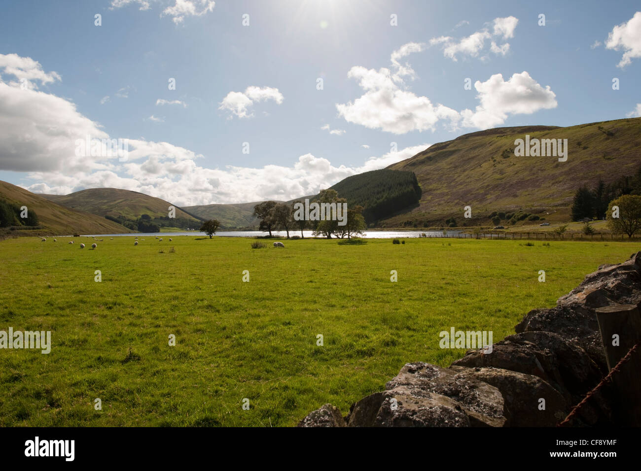 St Mary's Loch è il più grande lago naturale in Scottish Borders & prende il nome da una chiesa dedicata a Santa Maria che sorgeva Foto Stock