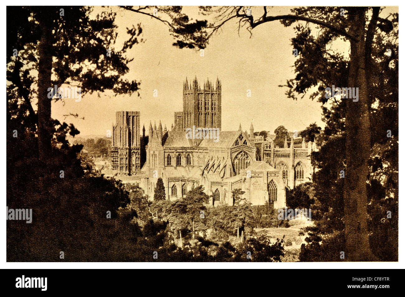 Cattedrale di Wells della chiesa di Inghilterra prevista antico monumento Somerset South West England Europa REGNO UNITO gotico del turismo Foto Stock