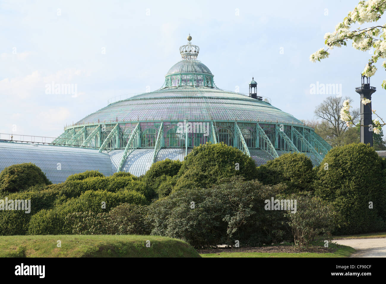 Il Belgio, Bruxelles, Laeken, il castello reale dominio, le serre di Laeken in primavera, il giardino d'inverno. Foto Stock