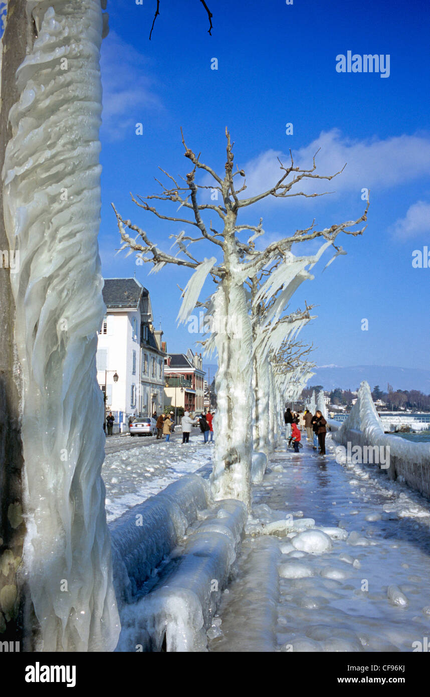 La Svizzera, Europa, Geneve, Ginevra, Versoix, Lac Leman, inverno, ghiaccio, clima Foto Stock