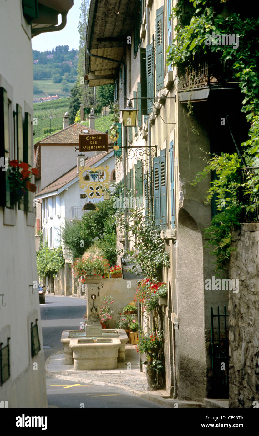 La Svizzera, Europa, Vaud, Lavaux, Epesses, strade, villaggio, fontana Foto Stock