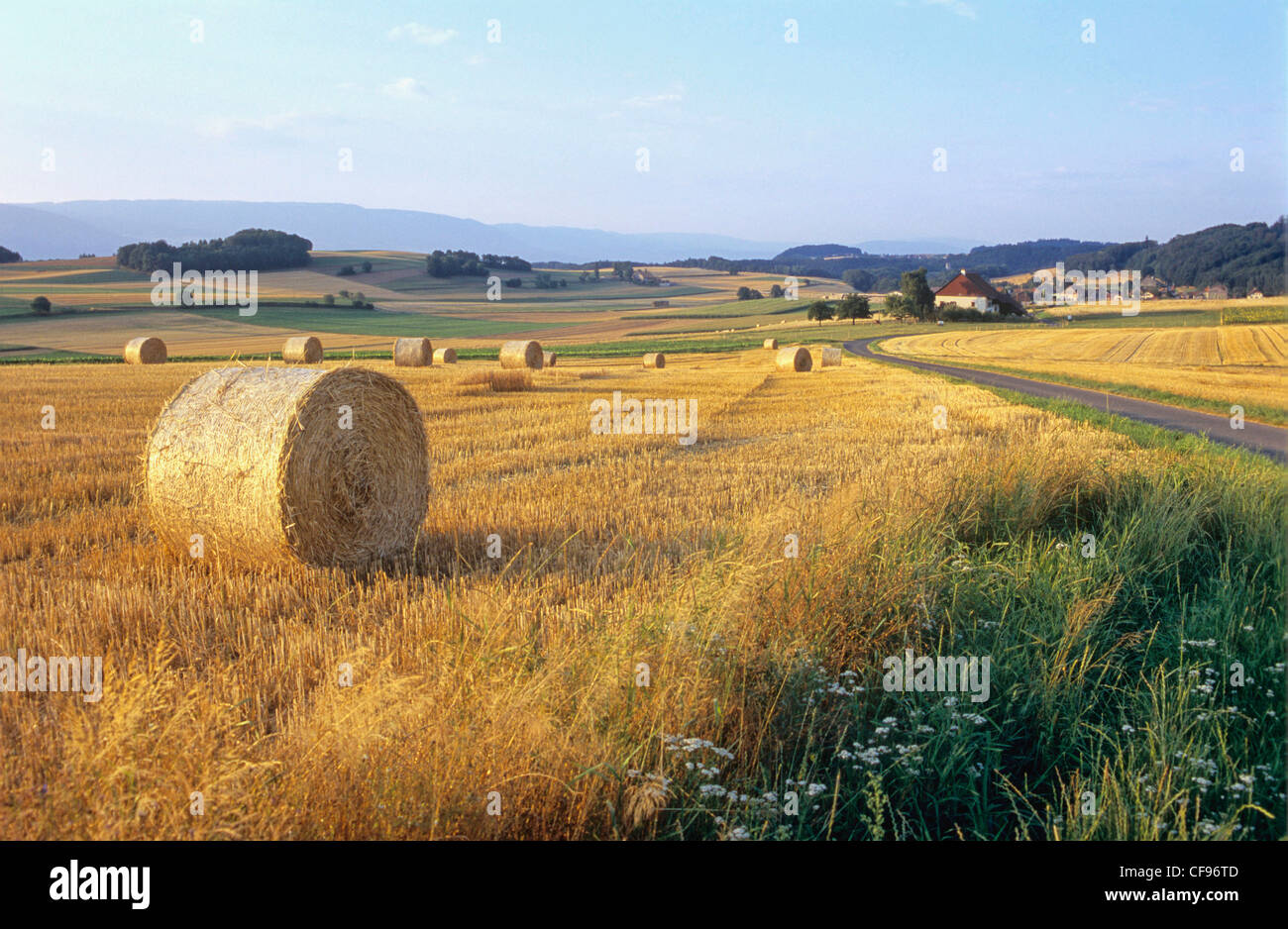 La Svizzera, Europa, Vaud, Gros-de-Vaud, paesaggio, paglia, fieno, agricoltura, fieno rotolo, Foto Stock