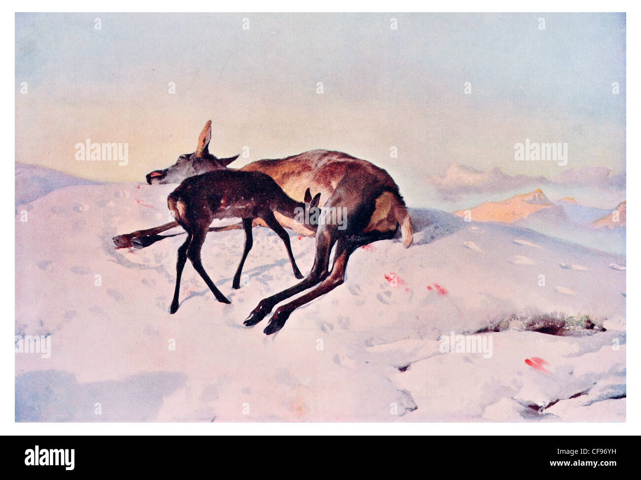Un colpo casuale da Sir Edwin Landseer Foto Stock