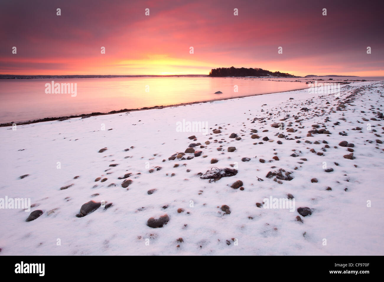 Bella mattinata invernale dall'Oslofjord, a Larkollen in Rygge, Østfold fylke, Norvegia. Foto Stock