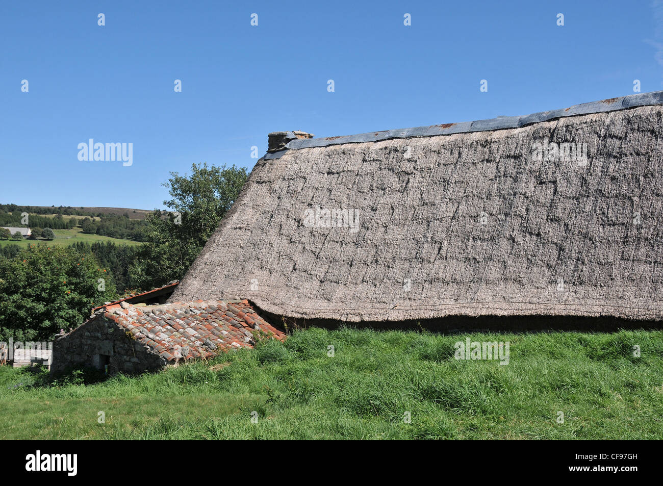 chaum tetto sulla vecchia fattoria, Forez gamma, Puy-De-Dôme, Auvergne, Francia Foto Stock
