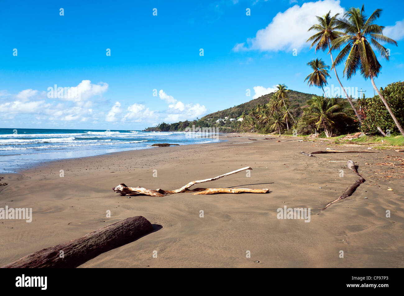 La spiaggia deserta a Carapuse Bay, a est di Roxborough. Foto Stock