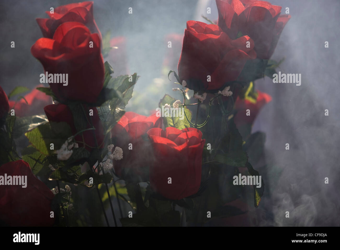 Rose rosse sono circondati da incenso il fumo al di fuori della Nostra Signora di Guadalupe decorate con rose, Città del Messico. Foto Stock