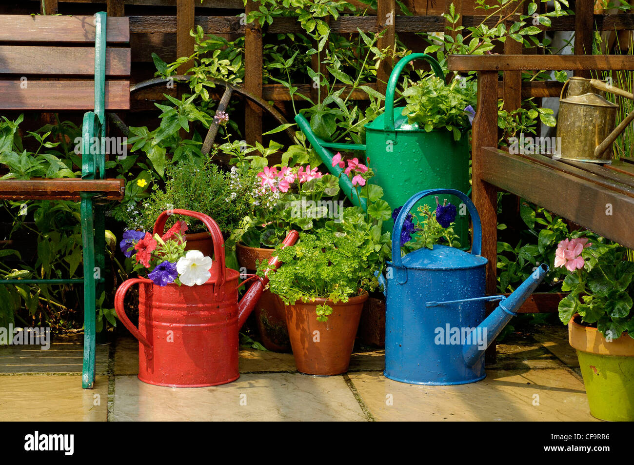 Innaffiatoi piantato con piante annue su un giardino patio, Norfolk, Regno Unito Foto Stock