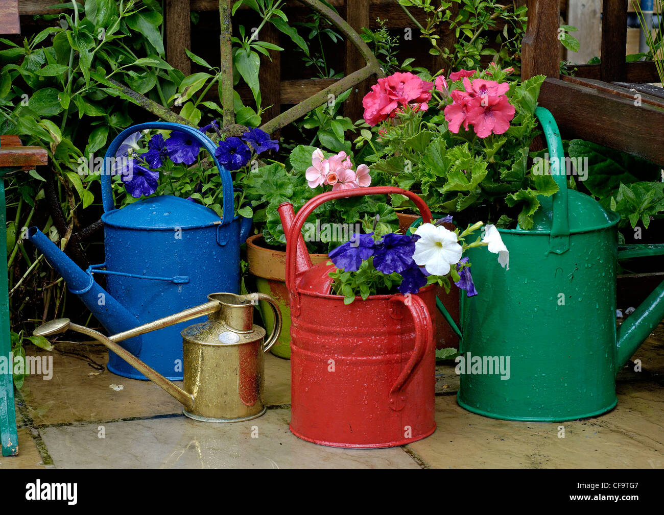 Innaffiatoi piantato con piante annue su un giardino patio, Norfolk, Regno Unito Foto Stock
