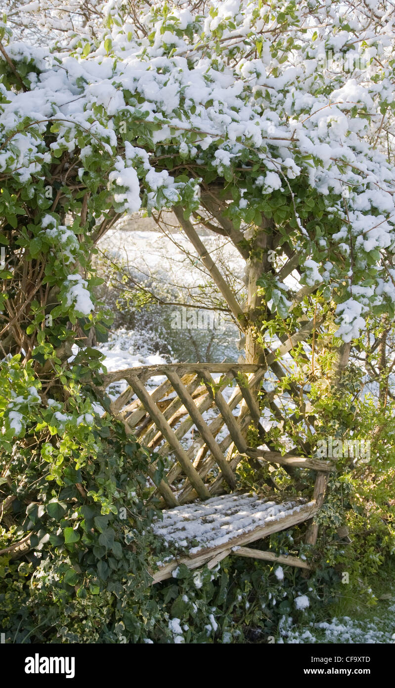 Giardino d'inverno British garden di Allendale, Kent, Regno Unito, affacciato su Romney Marsh panchina da giardino piante rampicanti, dopo una leggera Foto Stock