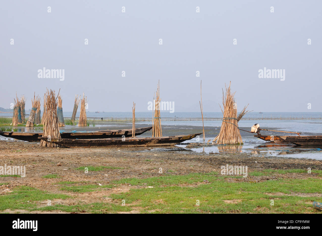 Chilika il lago salmastro dell Orissa in India. Foto Stock