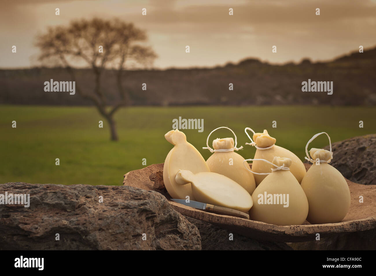 Close up di zucche in basket all'aperto Foto Stock