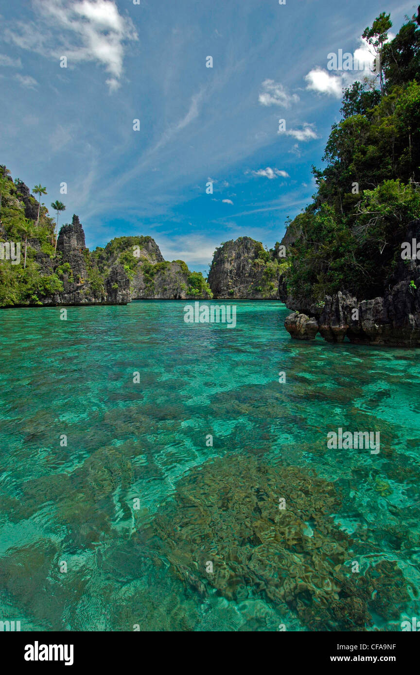 Isola scenario in Raja Ampat, Indonesia Foto Stock
