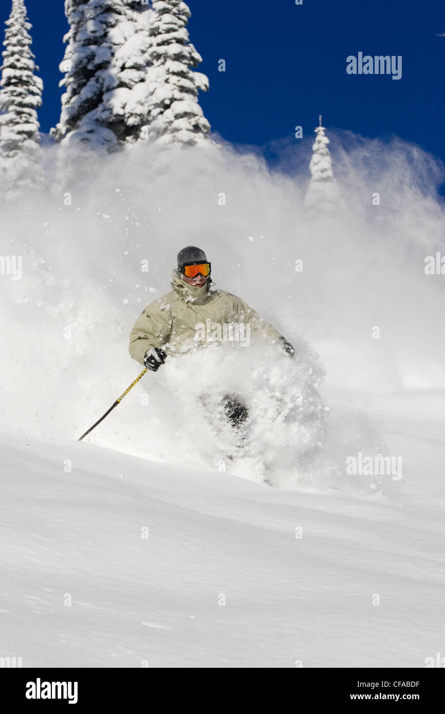 Giovane uomo sci polvere profonda al Fernie Alpine Resort, Fernie, British Columbia, Canada. Foto Stock