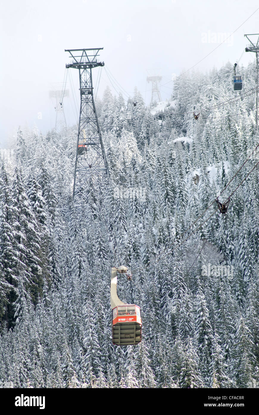 Il Grouse Mountain Skyride viaggia verso la cima del Monte Grouse in North Vancouver, British Columbia, Canada. Foto Stock