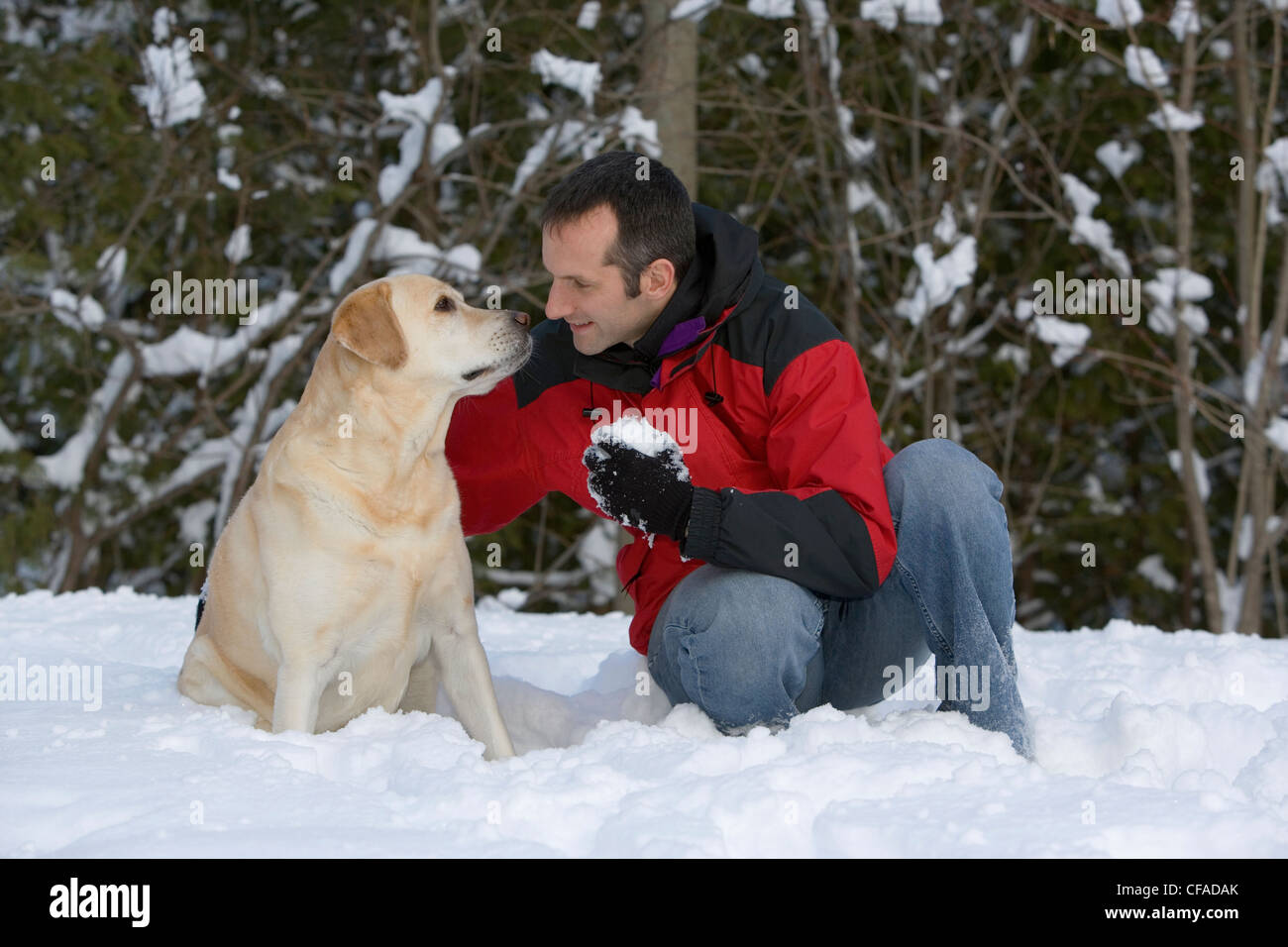 Un giovane uomo di piani con il suo golden labrador cane nella neve durante l'inverno, sulla penisola di Bruce, in Ontario, Canada. Foto Stock