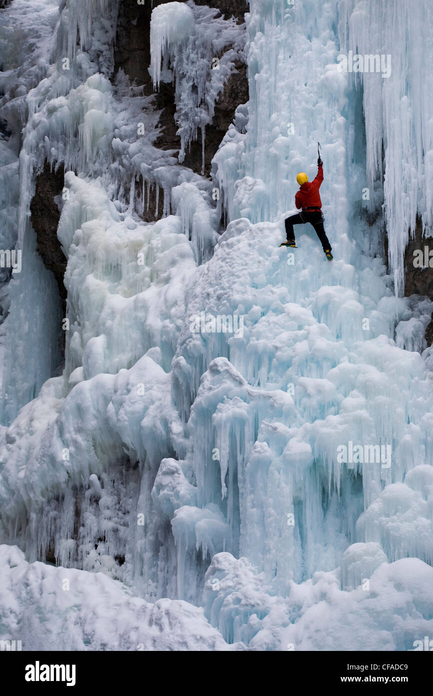 Un maschio ice clmber affronta alcuni ghiaccio ripido a Johnstone Canyon, il Parco Nazionale di Banff, AB Foto Stock