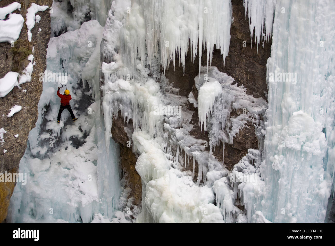 Un maschio ice clmber affronta alcuni ghiaccio ripido a Johnstone Canyon, il Parco Nazionale di Banff, AB Foto Stock