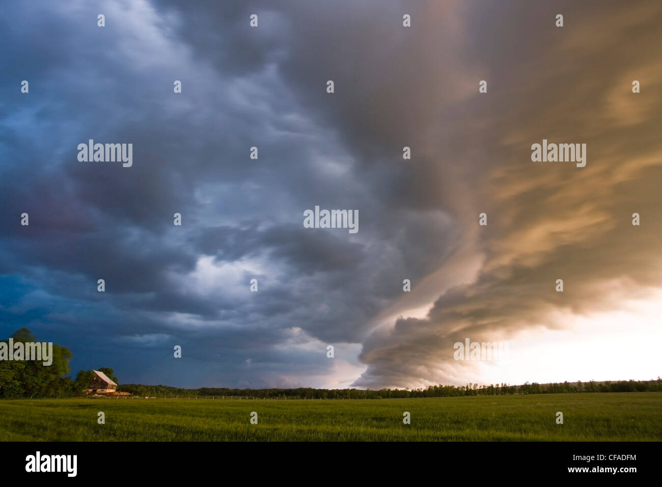 Una tempesta davanti con drammatica sunrise illuminazione, passa sopra un farmfield vicino a Ferndale, Bruce Peninsula, Ontario, Canada. Foto Stock