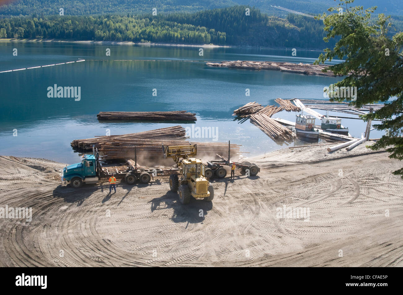 Download di registri da carrelli di registrazione in basso Lago di freccia, aghi traversata in traghetto, autostrada # 6, British Columbia Foto Stock