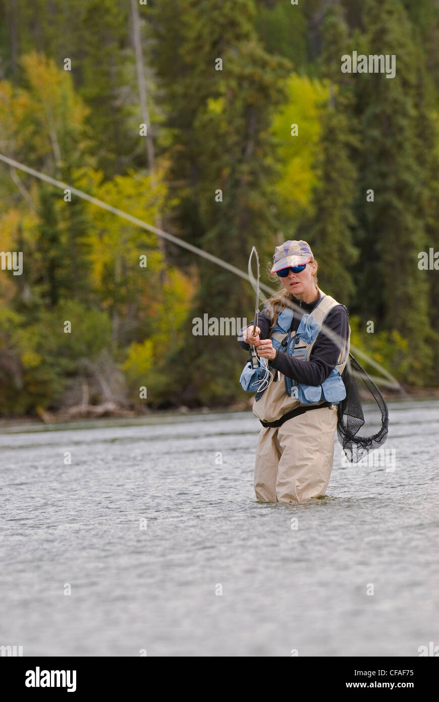 Femmina di fly-pescatore la pesca alla trota sul fiume Chilko, Regione Chilcotin, British Columbia, Canada. Foto Stock