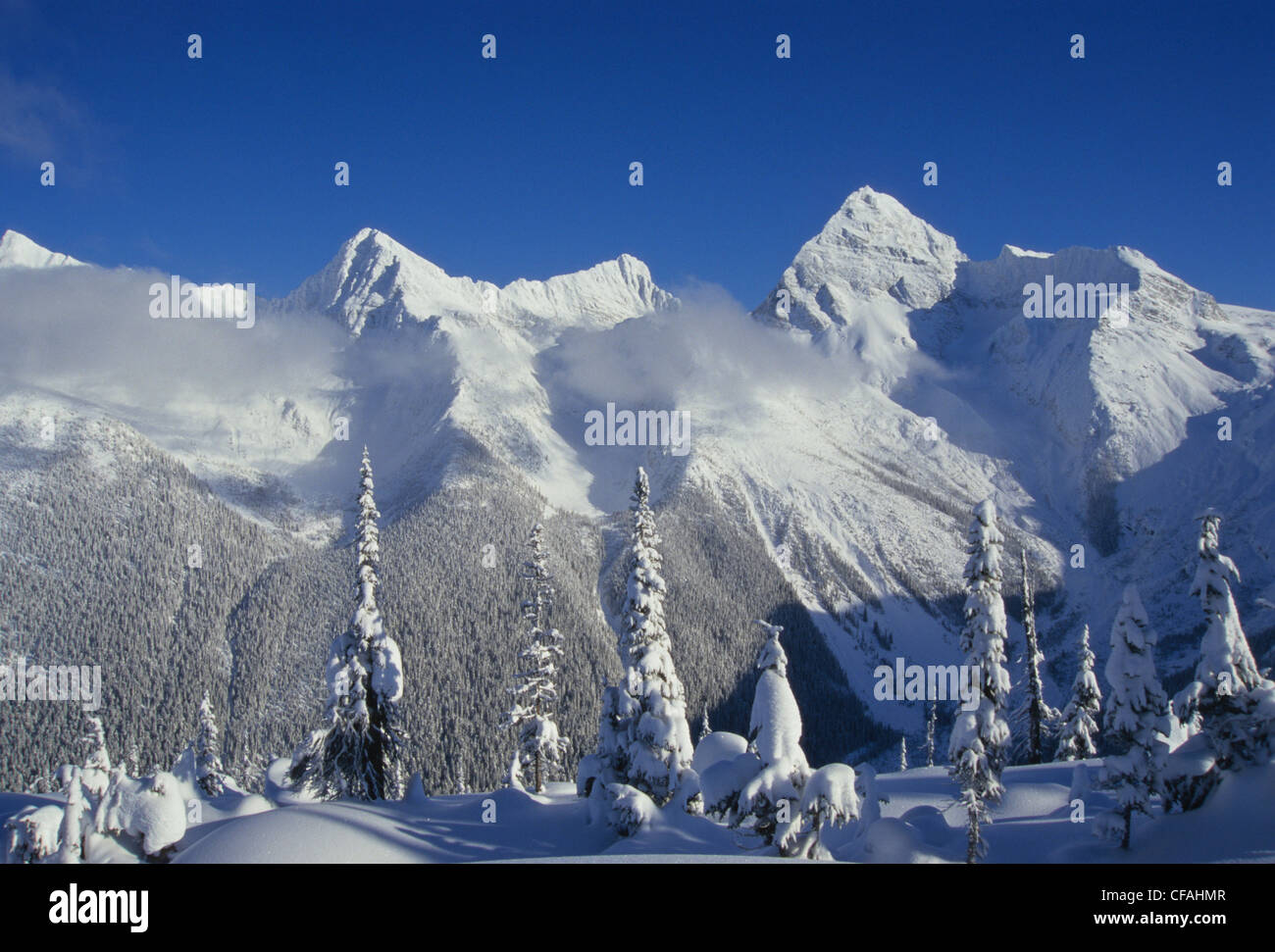 La vista dalla Abbott Ridge in inverno il Parco Nazionale di Glacier, British Columbia, Canada. Foto Stock