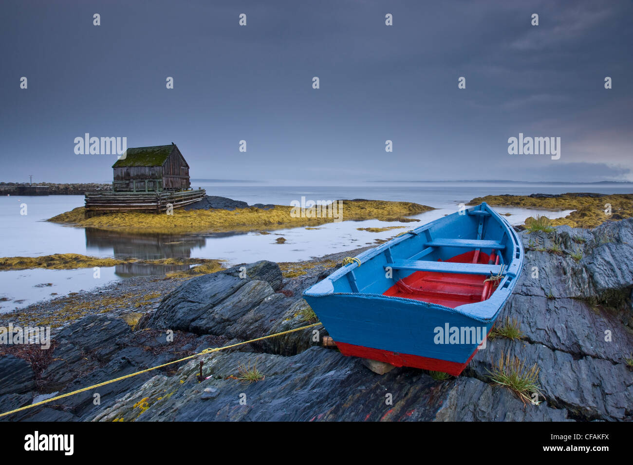 Rocce di colore blu, Nova Scotia, Canada. Foto Stock