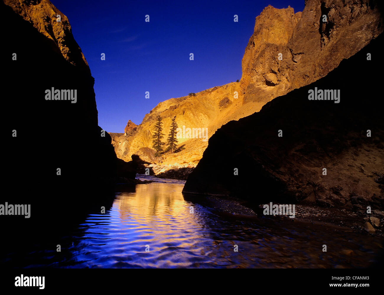 Il tasso di abbandono Creek Area Protetta di sunrise, British Columbia, Canada Foto Stock