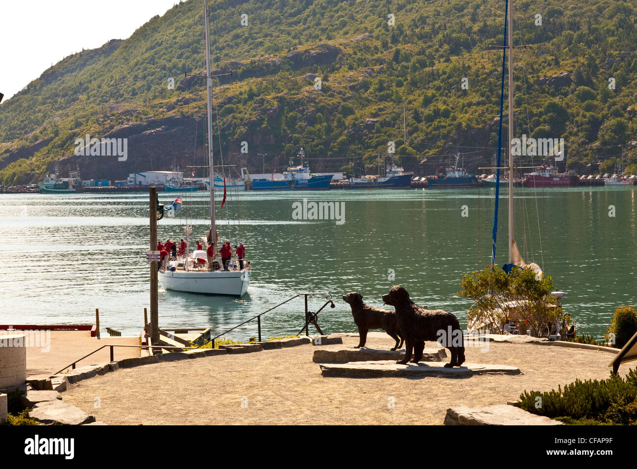 Statua di bronzo di cane di Terranova Labrador Retriever Foto Stock