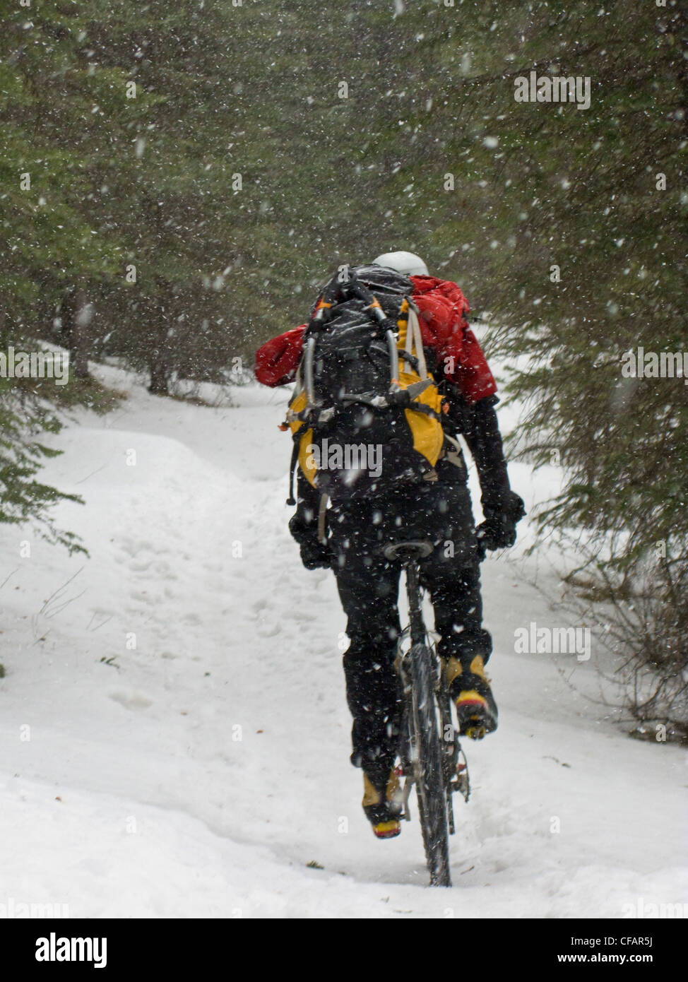 Un alpinista mountain bike al Professor Falls WI 4, il Parco Nazionale di Banff, Alberta, Canada Foto Stock