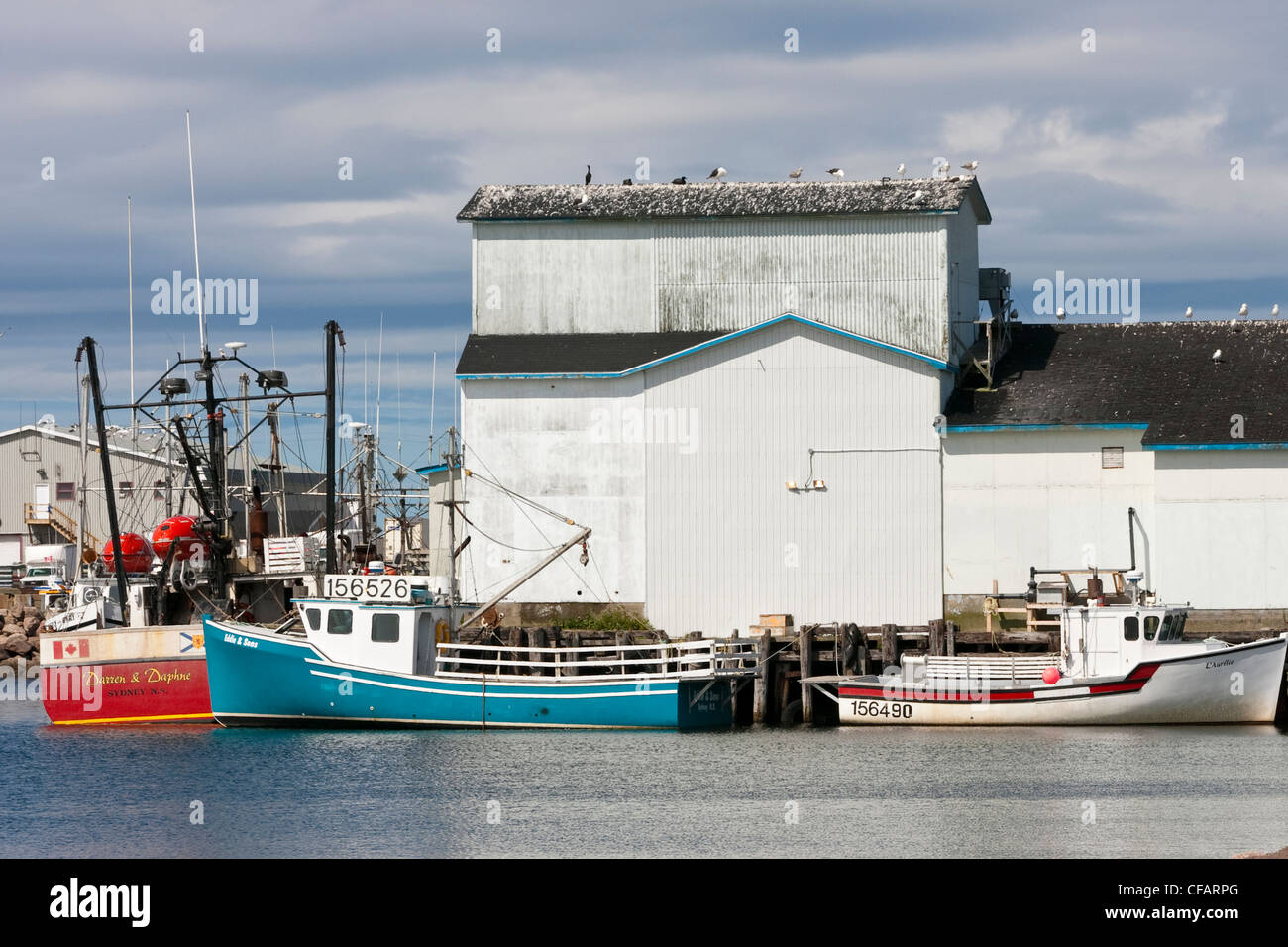 La pesca barche ormeggiate sul pesce impianto di trasformazione, Cheticamp Waterfront, Cape Breton, Nova Scotia, Canada. Foto Stock